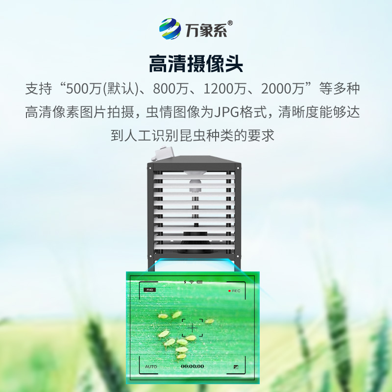 小蟲體自動測報系統